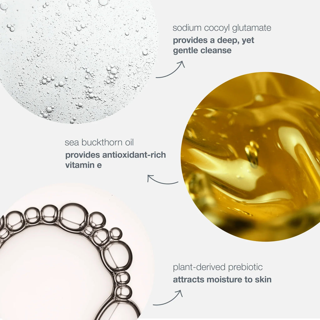dermalogica-oil-to-foam-total-cleanser-250ml-ingredients